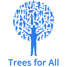 trees for all teambuilding Dundee